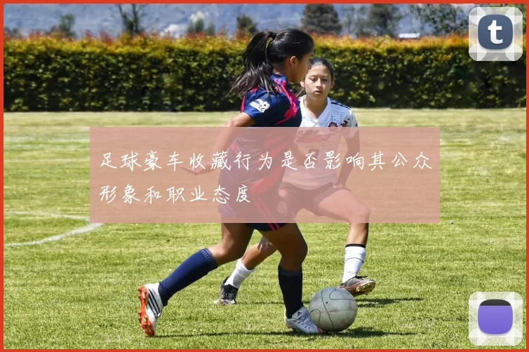 足球豪车收藏行为是否影响其公众形象和职业态度