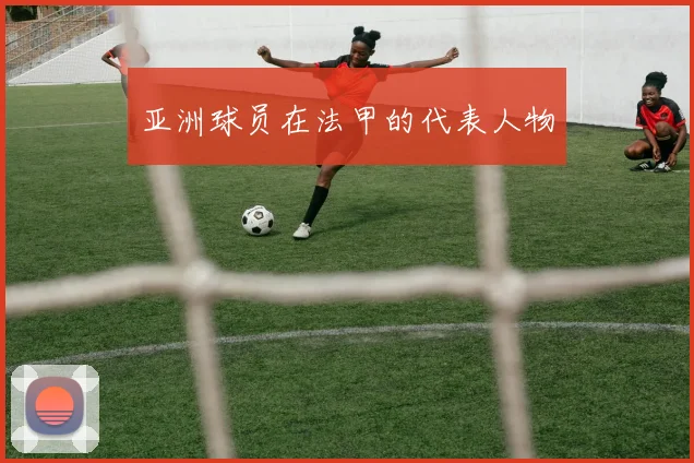 亚洲球员在法甲的代表人物