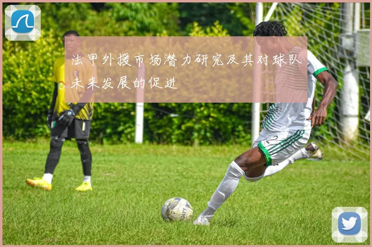 法甲外援市场潜力研究及其对球队未来发展的促进