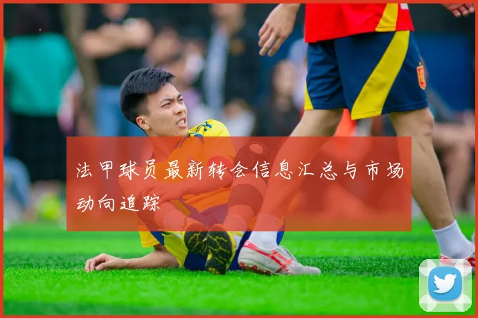 法甲球员最新转会信息汇总与市场动向追踪