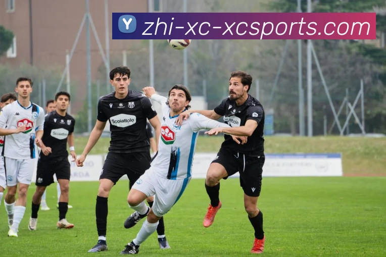 杏彩体育品牌故事