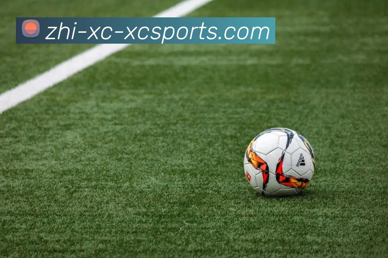 杏彩体育服务体系