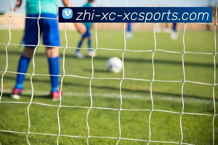 杏彩体育APP 体育赛事宣传图