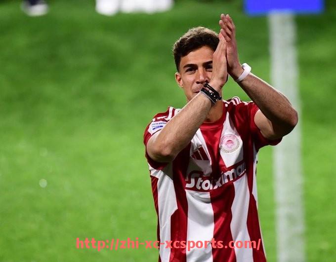 杏彩体育-世俱杯商业合作项目风险评估框架与实操应用指南